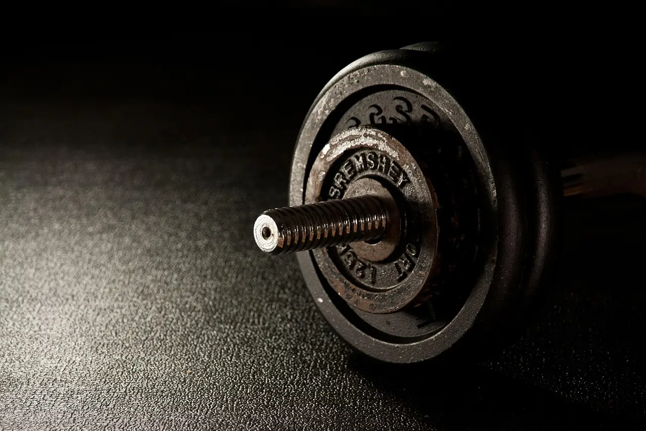 fitness, weight, dumbbell, gym, fitness center, weight lifting, weight training, fit, gym, gym, gym, gym, gym